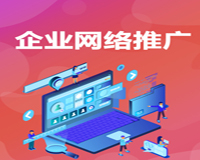 网站优化具体表现的内容是什么？